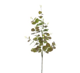 EUCALYPTUS (T.N.) (4381-51)