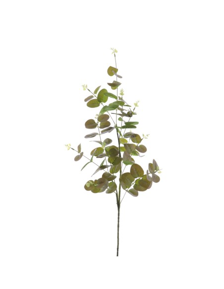 EUCALYPTUS (T.N.) 90 CMS (4381-51)