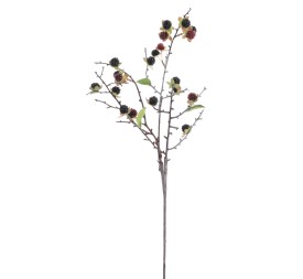 VARA GROSELLAS (6017-03)