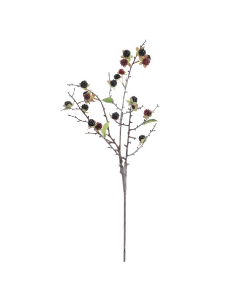 VARA GROSELLAS (6017-03) VARA GROSELLAS (6017-03)