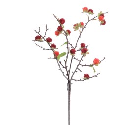 VARA GROSELLAS (6017-08)