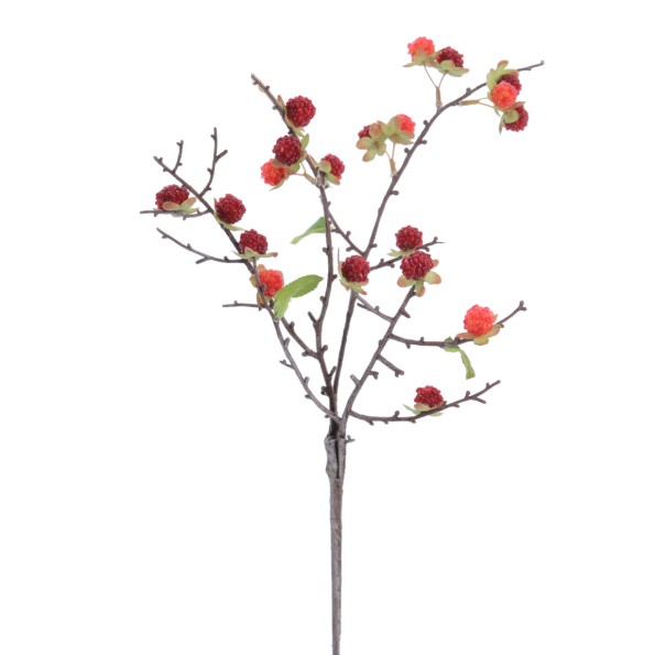 VARA GROSELLAS 54 CMS (6017-08)