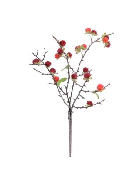 VARA GROSELLAS (6017-08)