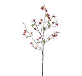 VARA GROSELLAS (6018-08) 90cms