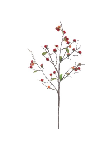 VARA GROSELLAS (6018-08) 90cms