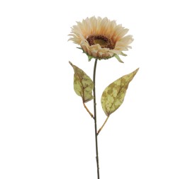 GIRASOL (9914-31)