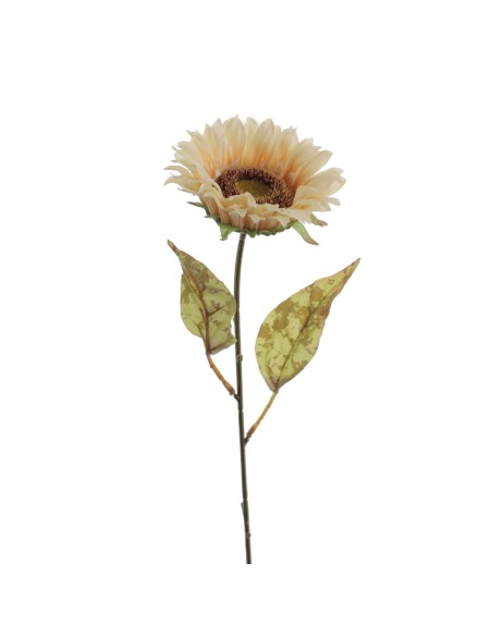 GIRASOL (9914-31)