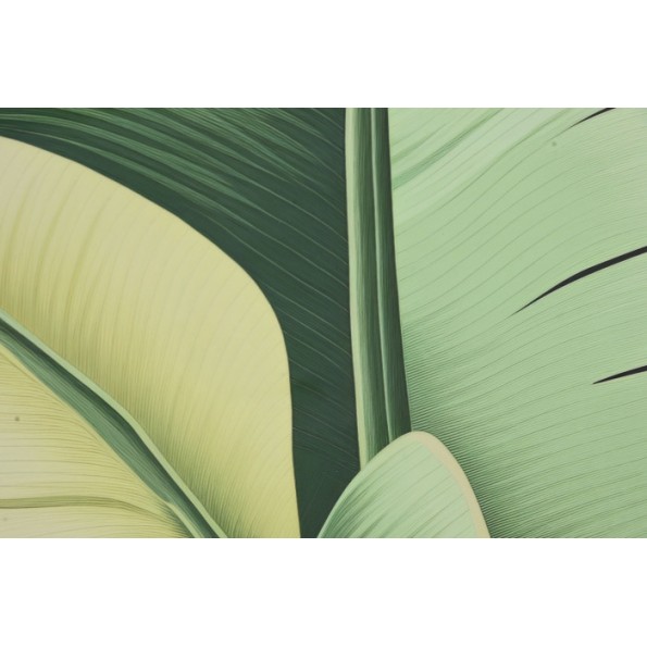 CUADRO ALUMINIO 80X3,5X80 HOJAS PALMERA 2 SURT.