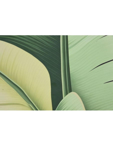 CUADRO ALUMINIO 80X3,5X80 HOJAS PALMERA 2 SURT.