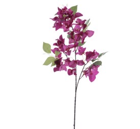 BOUGANVILLEA 78 CMS (6275-16)