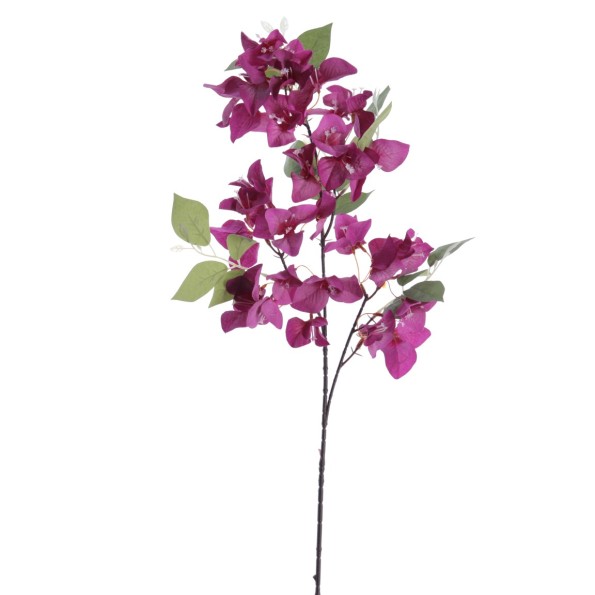 BOUGANVILLEA 78 CMS (6275-16)