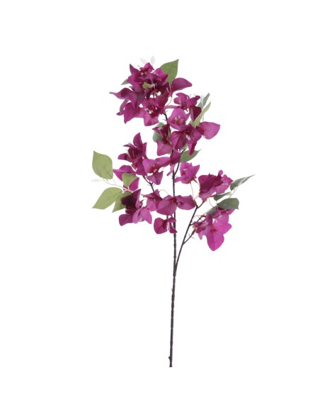BOUGANVILLEA 78 CMS (6275-16)