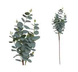 VARA EUCALIPTO X11 X90-90CM (VERDE/CL)