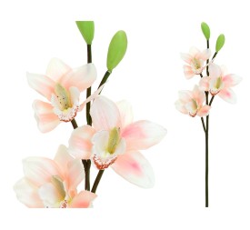 VARA CYMBIDIUM X 3 -52CM (TE)