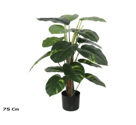 PLANTA POTUS X 18 T/ COCO (F) 75 CM