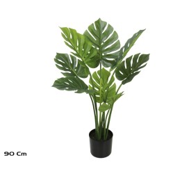 PLANTA MONSTERA X 8 (F) - 90 CM