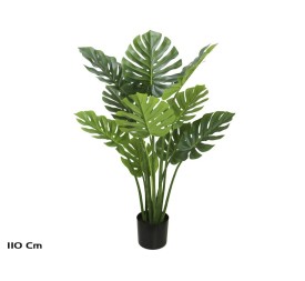 PLANTA MONSTERA X 10 (F) - 110 CM