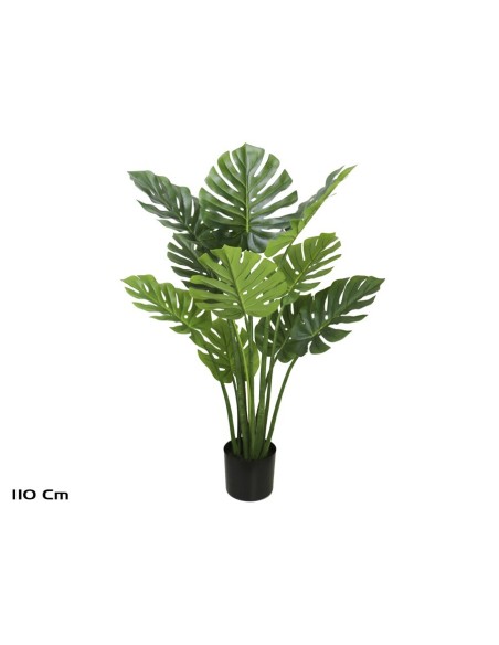 PLANTA MONSTERA X 10 (F) - 110 CM