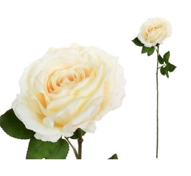VARA ROSA CAROLINA (A)-67 CM (CREMA)