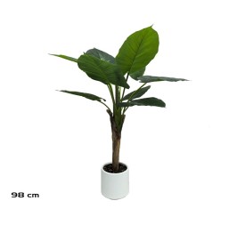 PLANTA TARO C/ MACETA LUX X 9 - 98 CM