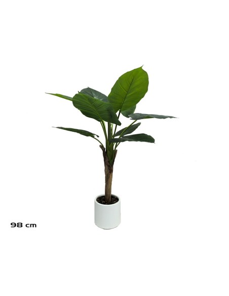 PLANTA TARO C/ MACETA LUX X 9 - 98 CM
