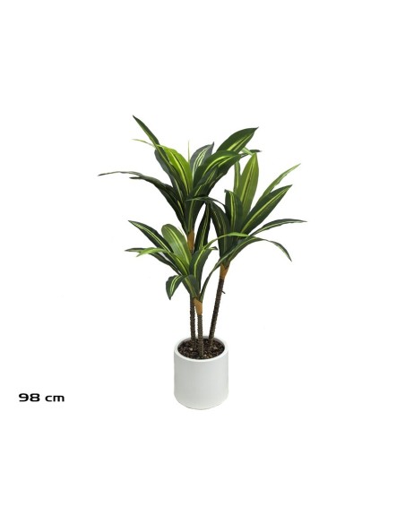 ARBOL DRACENA X 3 - 98 CM