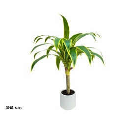ARBOL DRACENA  (Y) - 92 CM