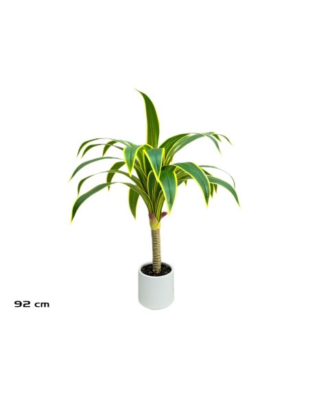 ARBOL DRACENA  (Y) - 92 CM