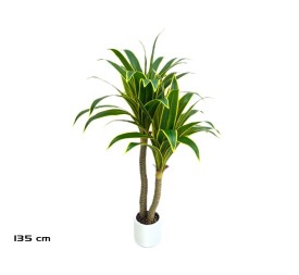 ARBOL DRACENA (Y) X 2 - 135 CM