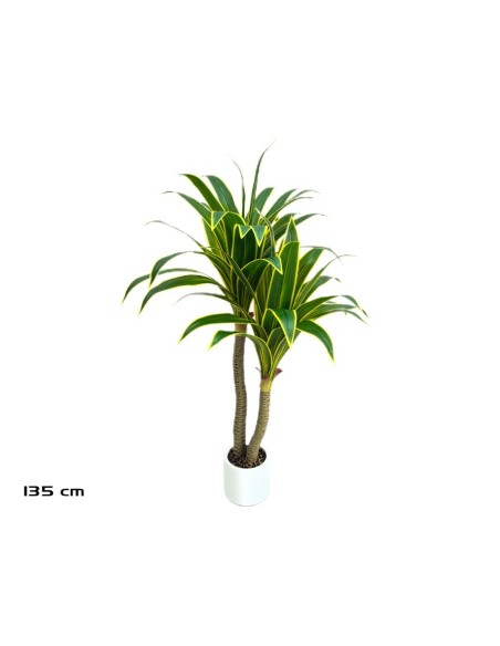 ARBOL DRACENA (Y) X 2 - 135 CM