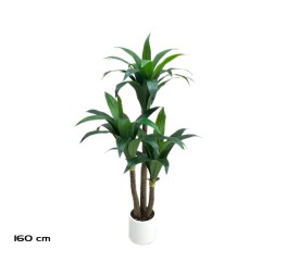 ARBOL DRACENA (V) X 3 - 160 CM