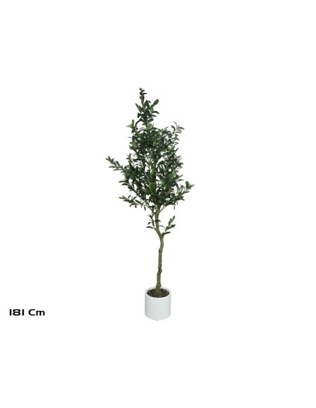 ARBOL OLIVO C/ MACETA LUX - 181 CM
