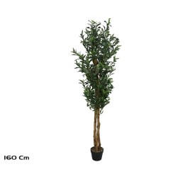 ARBOL OLIVO TRONCO NATURAL X 3 - 160 CM