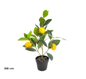 MACETA LIMONERO X 3 - 38 CM