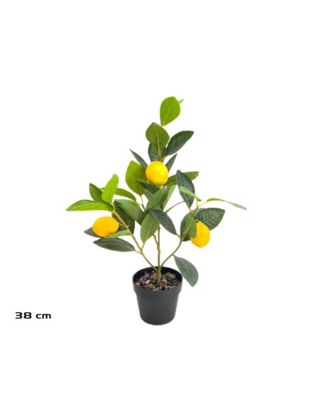 MACETA LIMONERO X 3 - 38 CM