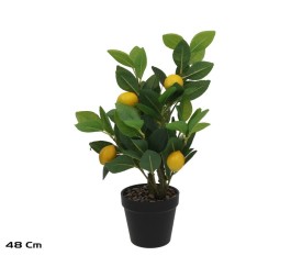 MACETA LIMONERO X 4 - 48 CM