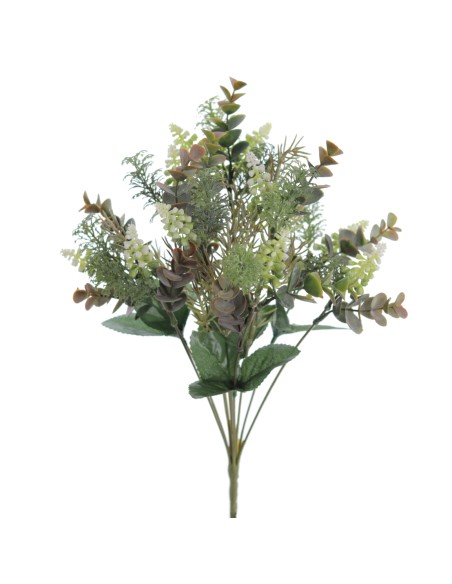 RAMO MUSCARI (6328-01)