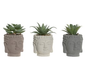 PLANTA CEMENTO PE 5,5X5,5X8,5 BUDA 3 SURT.