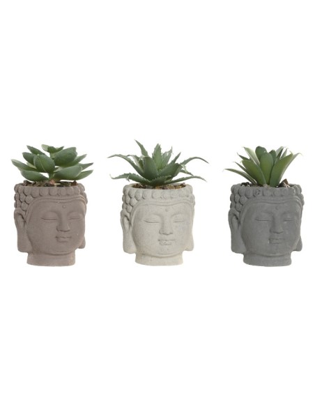 PLANTA CEMENTO PE 5,5X5,5X8,5 BUDA 3 SURT.