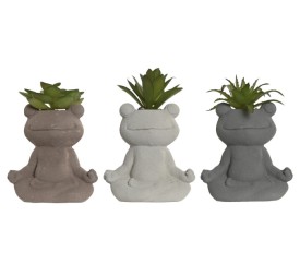 PLANTA CEMENTO PE 8,5X5X11 RANA 3 SURT.