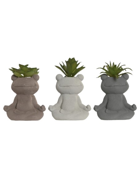 PLANTA CEMENTO PE 8,5X5X11 RANA 3 SURT.