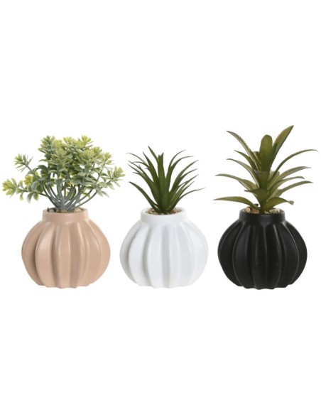 PLANTA PE CERAMICA 8X8X13 3 SURT. PLANTA PE CERAMICA 8X8X13 3 SURT.