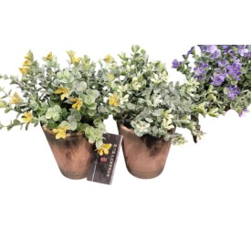 PLANTA PE CERAMICA 15X15X18,5 2 SURT.