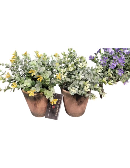 PLANTA PE CERAMICA 15X15X18,5 2 SURT.