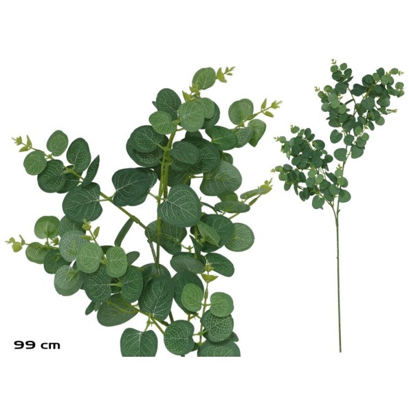 VARA EUCALIPTO X 160 - 99 CM (VERDE/CL)