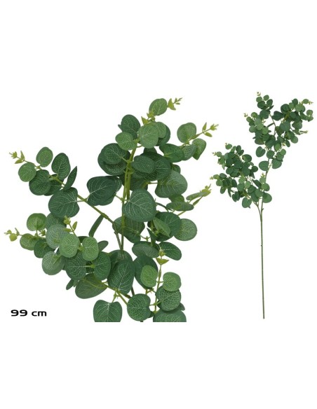 VARA EUCALIPTO X 160 - 99CM (VERDE/CL)