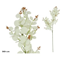 VARA EUCALIPTO X 160 - 99 CM (BLANCO)
