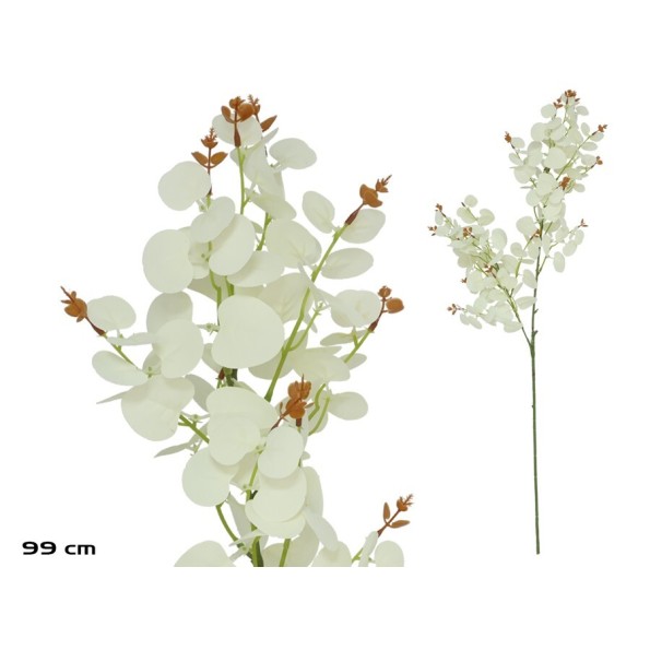 VARA EUCALIPTO X 160 - 99 CM (BLANCO)