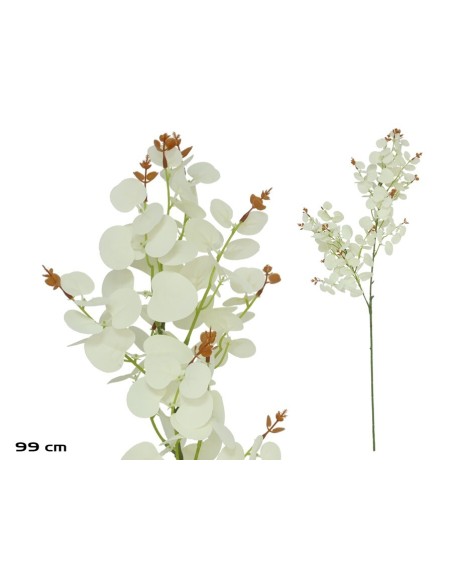 VARA EUCALIPTO X 160 - 99 CM (BLANCO)