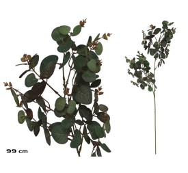 VARA EUCALIPTO X 160 - 99CM (VERDE/RJ)